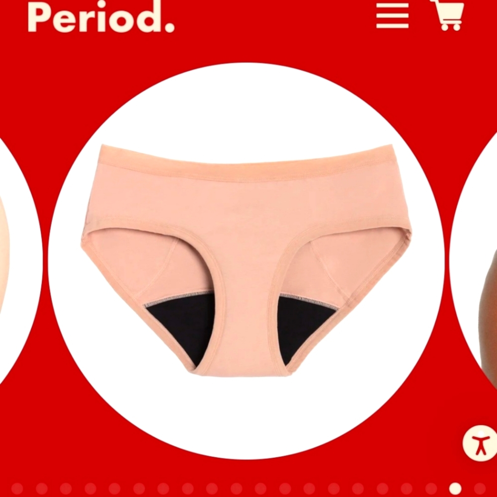 TWO pair of period panties by The Period Company. Both New sealed in packing.